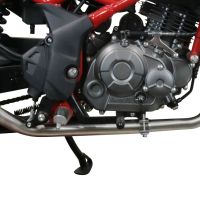 Exhaust compatible with Benelli Bn 125 2021-2024, Furore Evo4 Nero, Full system exhaust, including removable db killer 